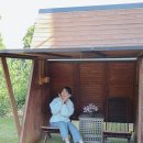제주감귤체험농장 서귀포 성산 제주농원901 제주도 귤따기 체험