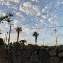 처음처럼 펜션 2 이미지