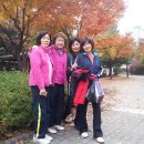 벽적공원 이미지