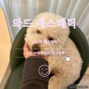 와드에스테틱 | 마스크 벗고 나서 얼굴 비대칭 신경 쓰인다면, 신사 경락 1회 솔직 후기