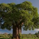 자연알로(서천) 이미지