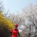 모정 배수장 이미지