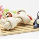 바른 애견 이미지