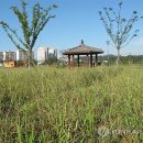 황토클리닉타운 이미지