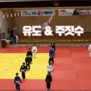 신사아카데미 합기도 주짓수 유도 네이버블로그