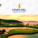 돌고래게임장 이미지