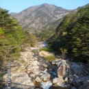 두타산_청옥산 산행, 노루귀와 얼레지는 두타능선에 향연을 피우고...