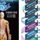 란이에스테틱 네이버블로그