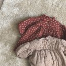 베이지 꽃 이미지