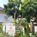 타이디앤 이미지