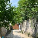 소풍시1947 이미지