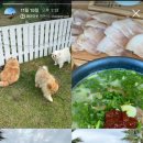 신례팜