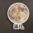 만월 | 덕은동 일식집 스시 초밥 맛집 《만월》 솔직후기요^^
