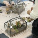 만촌평생학습센터 | 대전 전민평생학습센터 느린학습자 대상 테라리움 수업 후기｜온실형 테라리움으로 만드는 집중과 회복