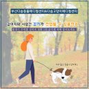 다솜켄넬 | 부산강아지병원/부산강아지중성화/부산강아지치과/다솜동물메디컬센터/다솜고양이메디컬센터/다솜동물병원