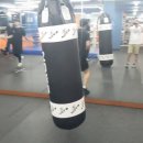 수원동양복싱 이미지