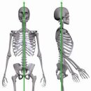 바른자세척추운동 이미지