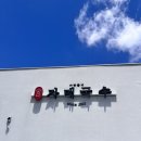 자매국수 | 제주도 자매국수 방문후기