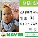 반디야식 이미지