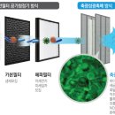 에이피씨