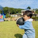 국화리팜랜드 이미지