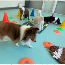 서초유치원 이미지