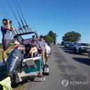 양지은농장 이미지