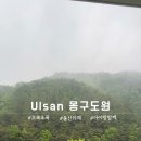 몽구도원 이미지