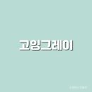 고잉고잉 이미지
