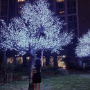 시엘전기조명 네이버블로그