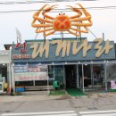 신대게 | 주문진 킹크랩 맛집 푸짐한 세트 신대게나라