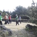 하원동 탐라왕자묘 이미지