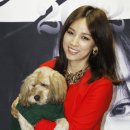 순심이 Daum카페