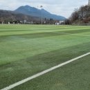 옥구인조잔디축구장 | 신둔체육공원 축구장 인조잔디 유지관리 후기