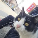 월산닭무국
