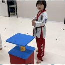 로운 태권도장 이미지