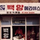 서울메리야스