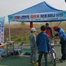 어등대교(거점터미널) 이미지