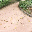 장유스포츠센터 체육관 이미지