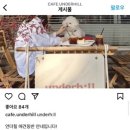 타타스베이글은행나무길점