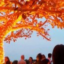 The 15 Best Places for Sunsets in London 이미지