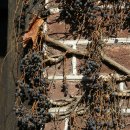 개성여관 이미지