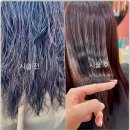 제니헤어 이미지