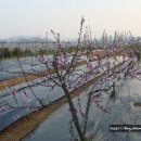 인영농장 이미지