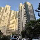 맨션13 네이버블로그