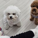 멍동댕유치원 이미지