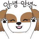 창대 파트너스 이미지