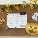 동물제중원금손이 동물병원 이미지