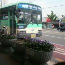 제일고삼거리 Daum카페