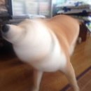 멍 이미지